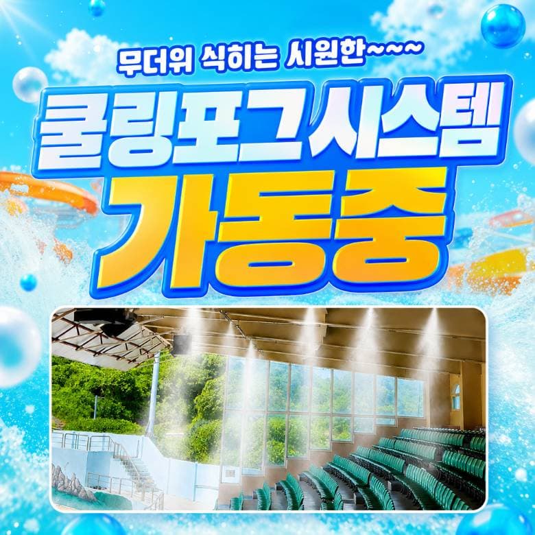 더마파크 ★한정특가★ 공연 입장권 및 체험권 이용 안내 4