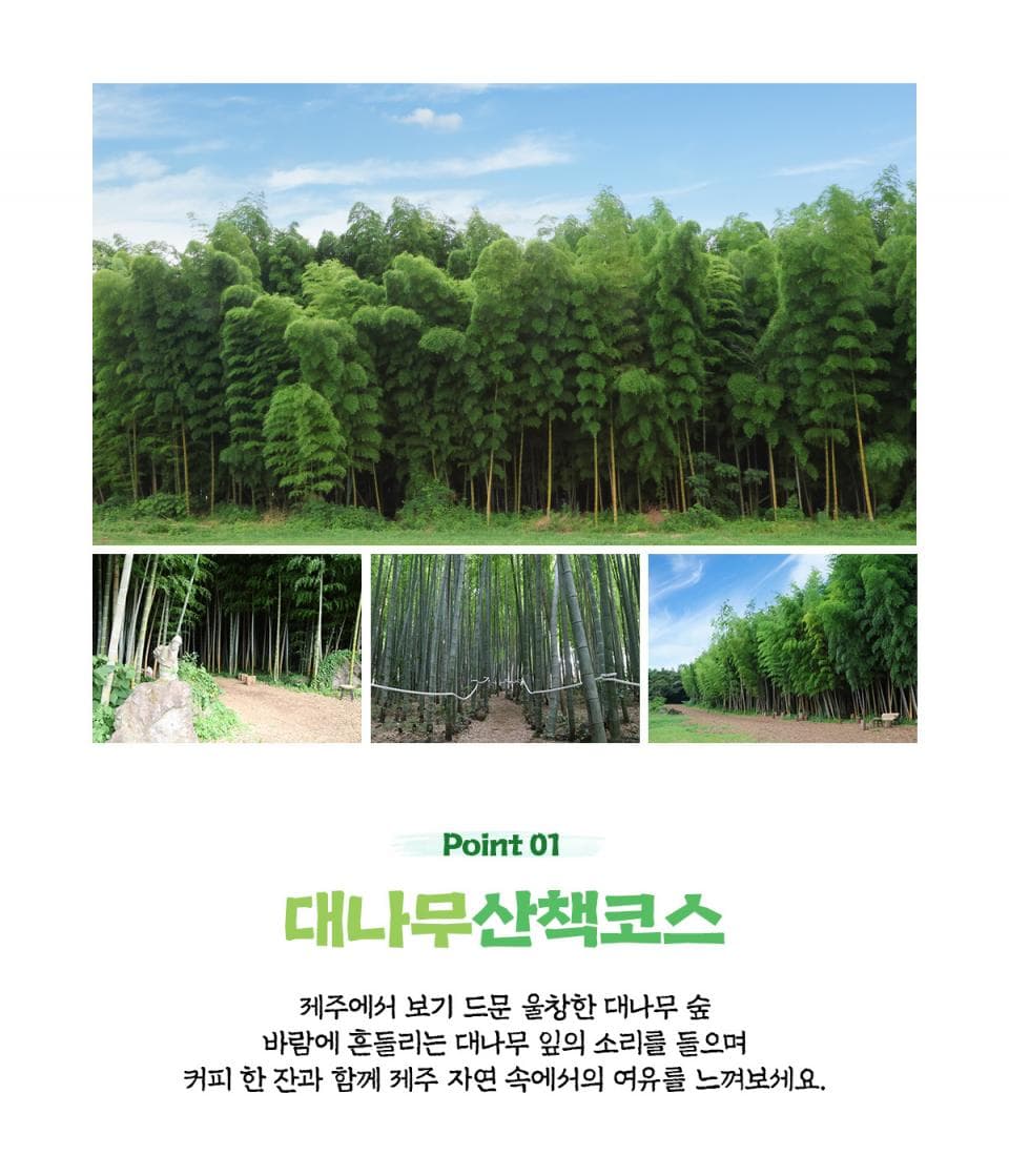 대한목장 아메리카노 2잔+쿠키 2개 (~09/30) 이용 안내 4