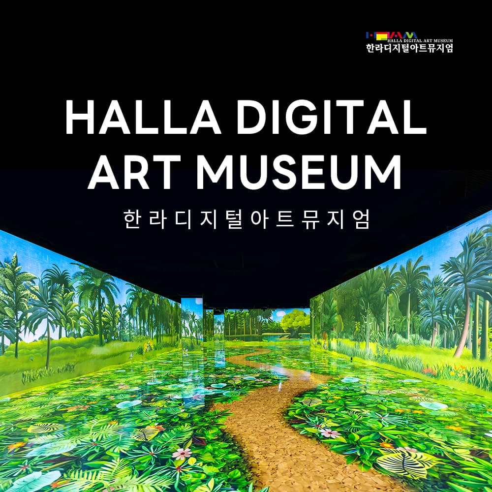 한라 디지털아트 뮤지엄 입장권