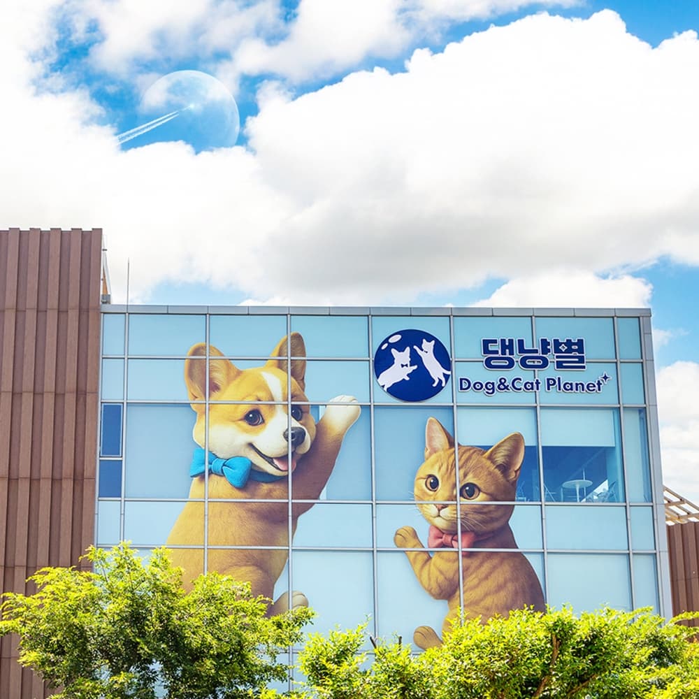 댕냥별 입장권
