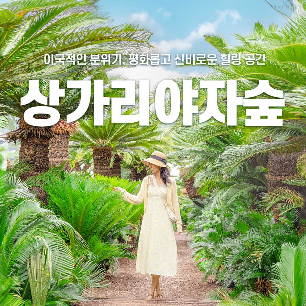 상가리야자숲 입장권