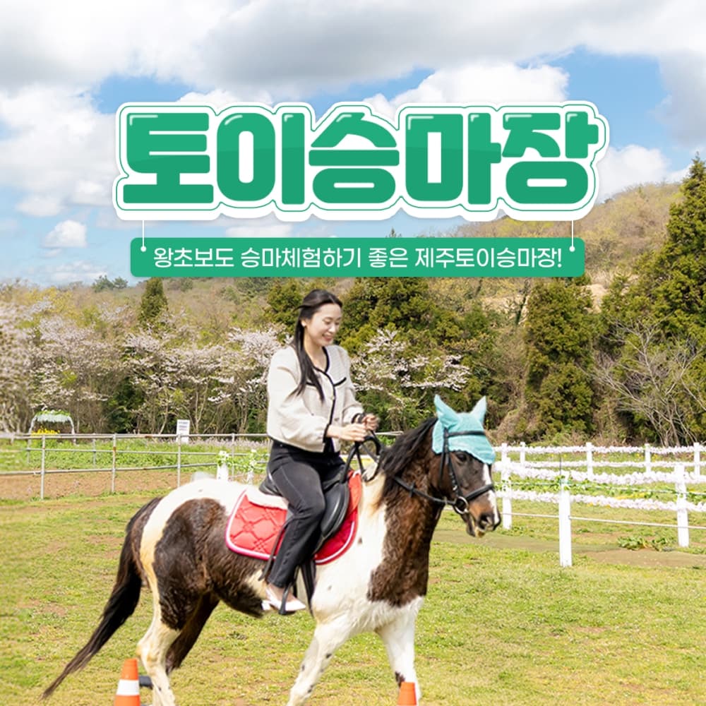 토이승마장 승마 코스 이용권